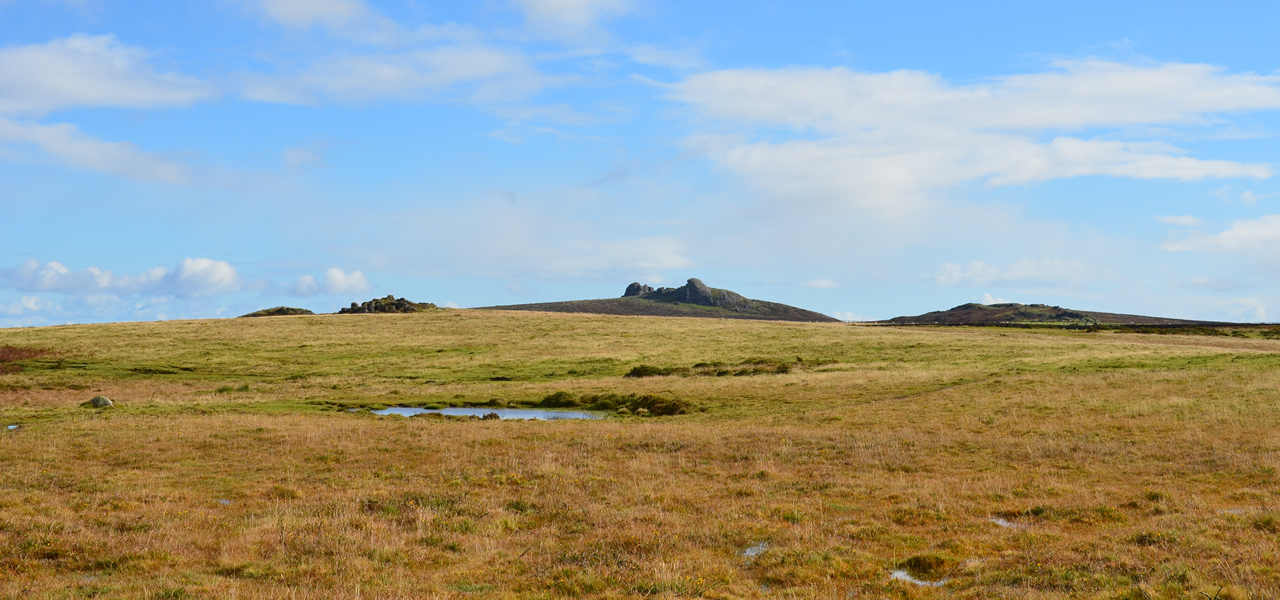 Dartmoor