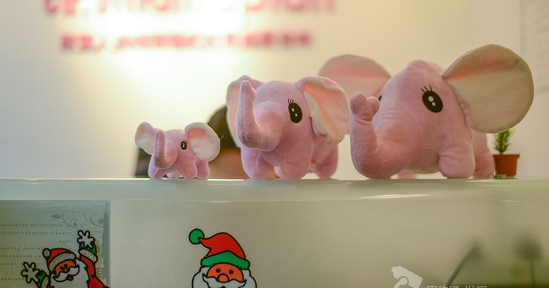 8a0b6b599d613a77204e5d86296bfb088df0e925