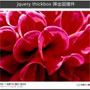 jquery 弹出层插件 ThickBox多功能弹出层插件支持图片