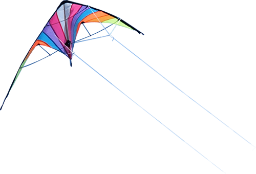 Kite