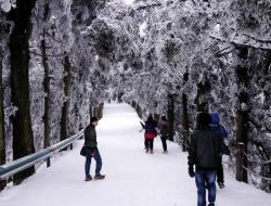 周末：这个冬天陪你一起去南岳衡山看雪、赏雾凇