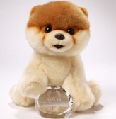 Gund Boo 超萌毛绒玩具狗$15.19